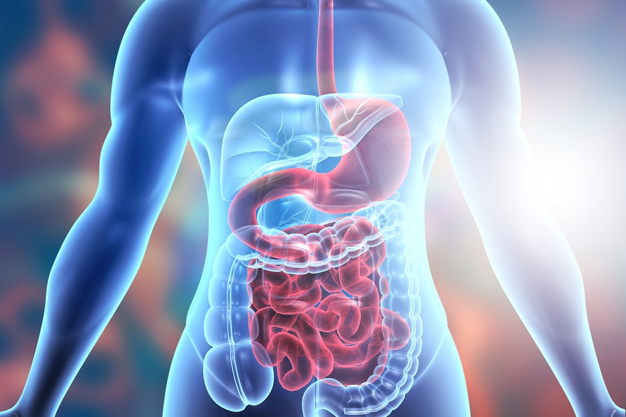 Best Gastro Surgeon in Sirsa
